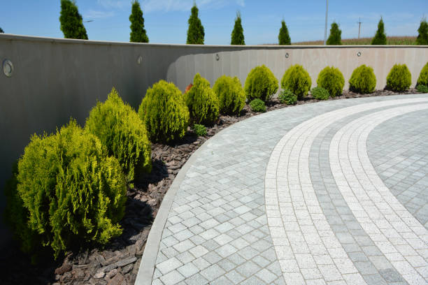 Best Driveway Pavers Near Me  in Branchville, SC