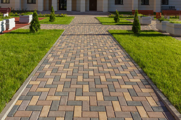 Best Driveway Repair Near Me  in Branchville, SC